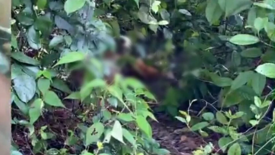 Homem é encontrado morto com marcas de torturas na zona Norte de Manaus; Vídeo