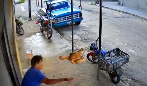 Vídeo! Homem reage a assalto com frango na mão