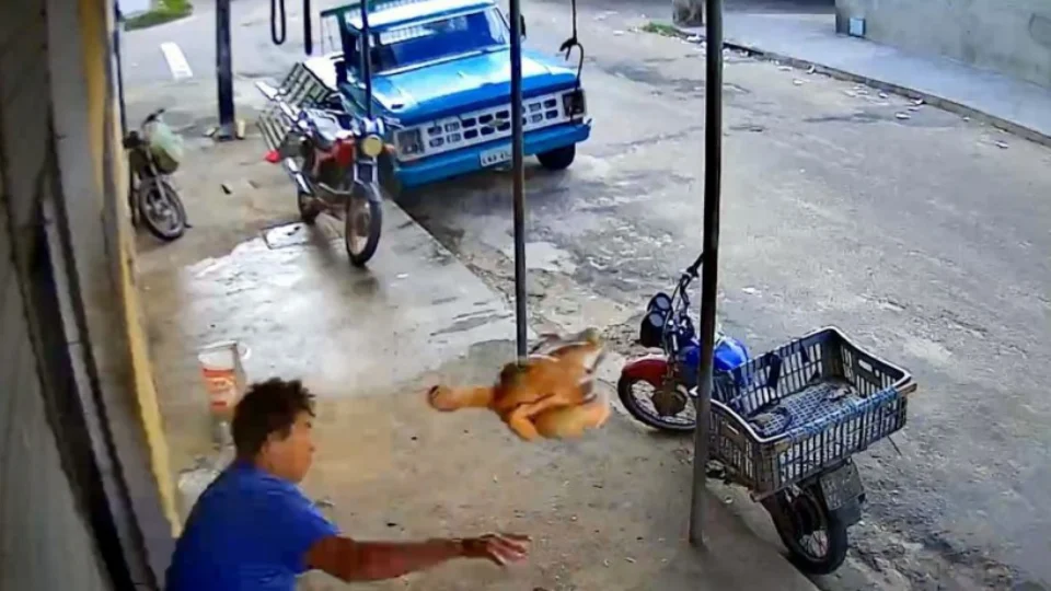Vídeo! Homem reage a assalto com frango na mão