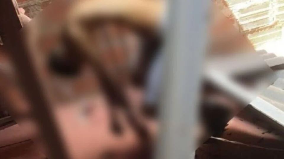 VEJA VÍDEO: Ladrão cai do telhado e morre atravessado por vergalhões