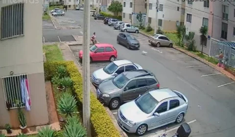 Veja vídeo! motorista mata cadela atropelada em condomínio e foge