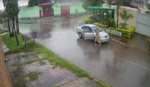 Veja vídeo! vizinha furta plantas e caso vai parar na polícia