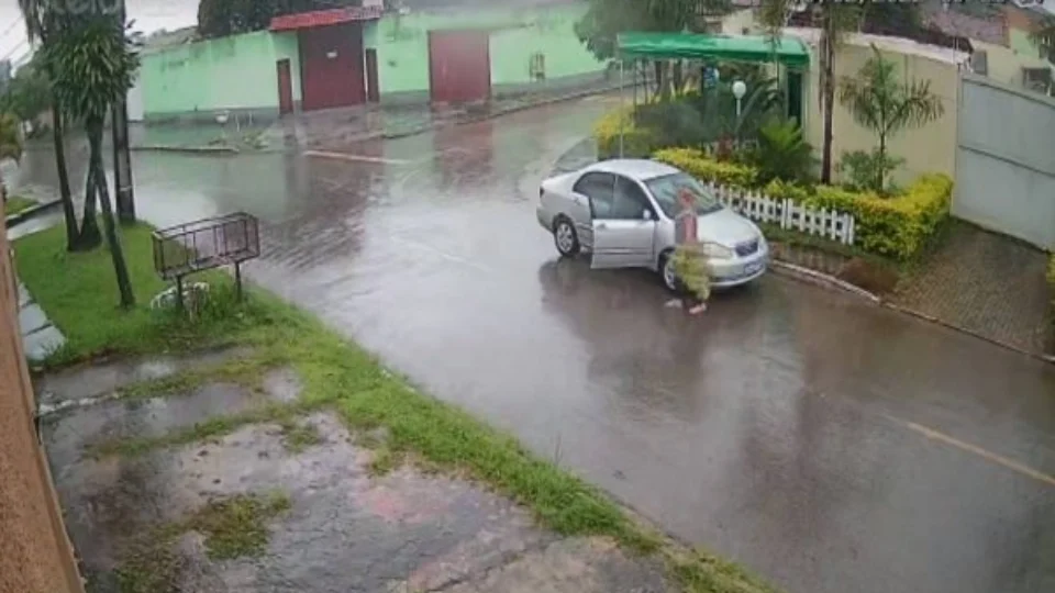 Veja vídeo! vizinha furta plantas e caso vai parar na polícia