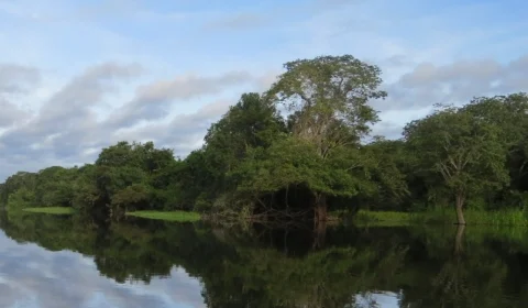 Urucará recebe reforço policial para buscas de caçadores desaparecidos em mata no Amazonas