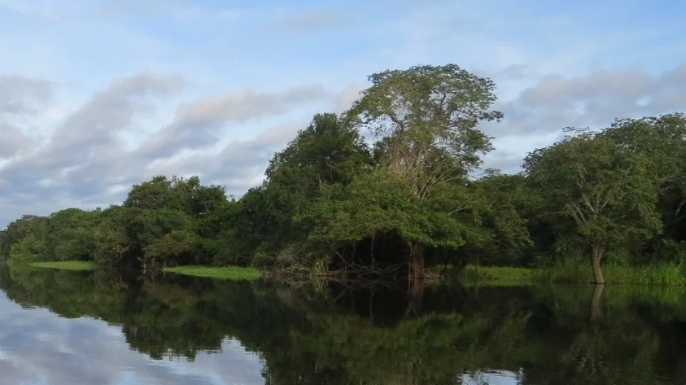 Urucará recebe reforço policial para buscas de caçadores desaparecidos em mata no Amazonas