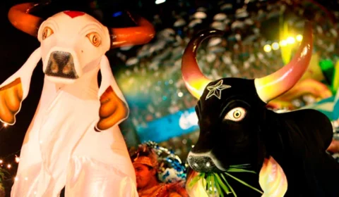 Festival de Parintins é citado durante conversa no BBB 22