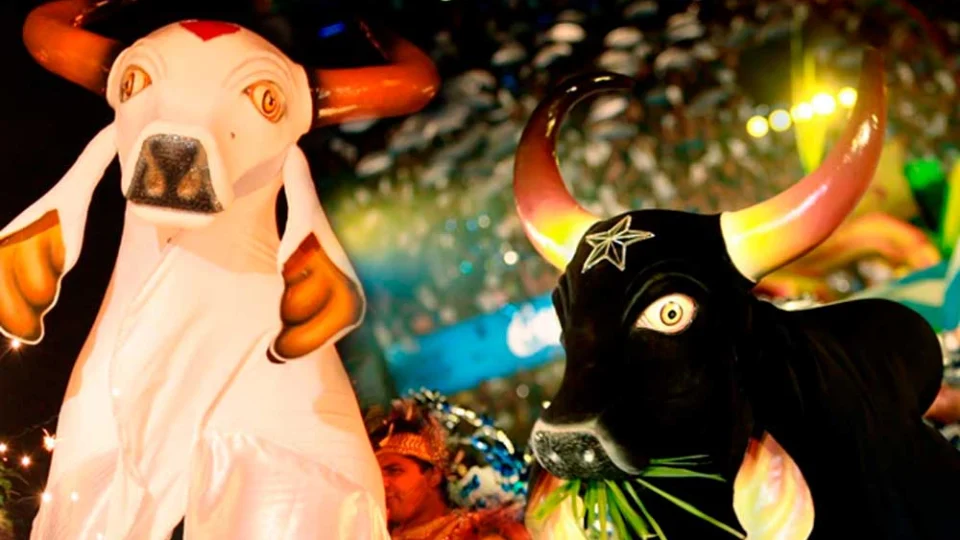 Festival de Parintins é citado durante conversa no BBB 22