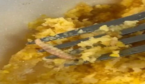 Aluno encontra larvas em comida servida no restaurante universitário