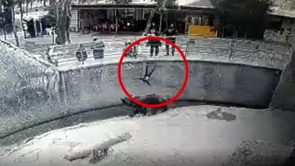 Mãe é presa acusada de jogar filha de 3 anos em jaula de urso; VÍDEO