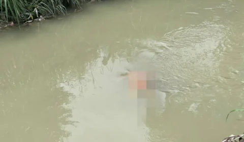 Corpo é encontrado dentro de igarapé, na zona Leste de Manaus