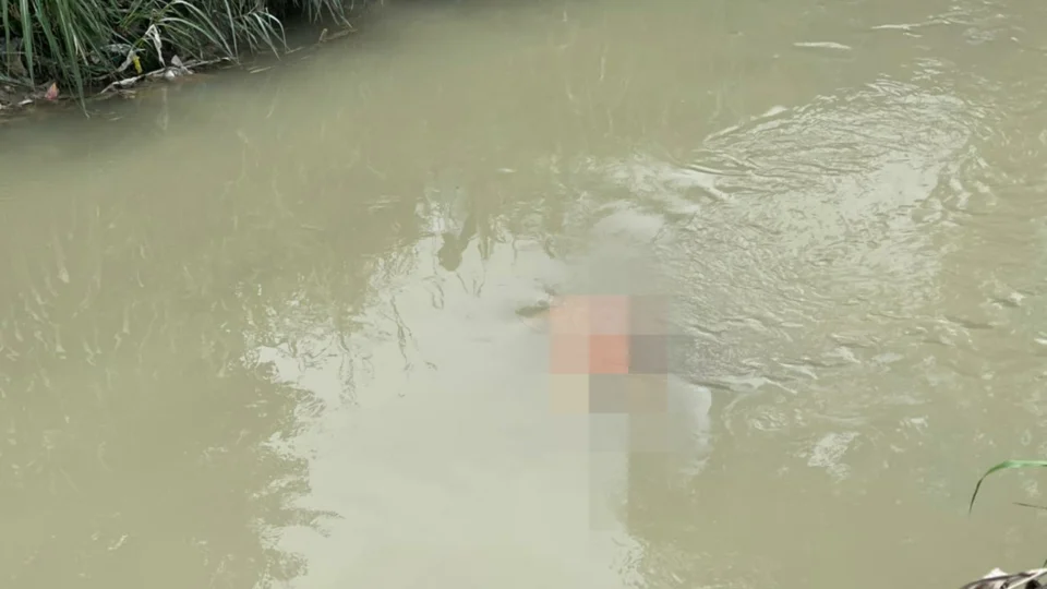 Corpo é encontrado dentro de igarapé, na zona Leste de Manaus