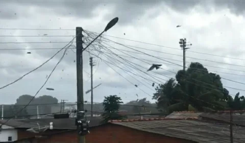 Tromba d’água destelha casas e deixa a cidade de Nhamundá (AM) sem energia; VÍDEO