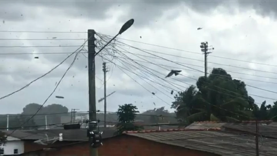 Tromba d’água destelha casas e deixa a cidade de Nhamundá (AM) sem energia; VÍDEO