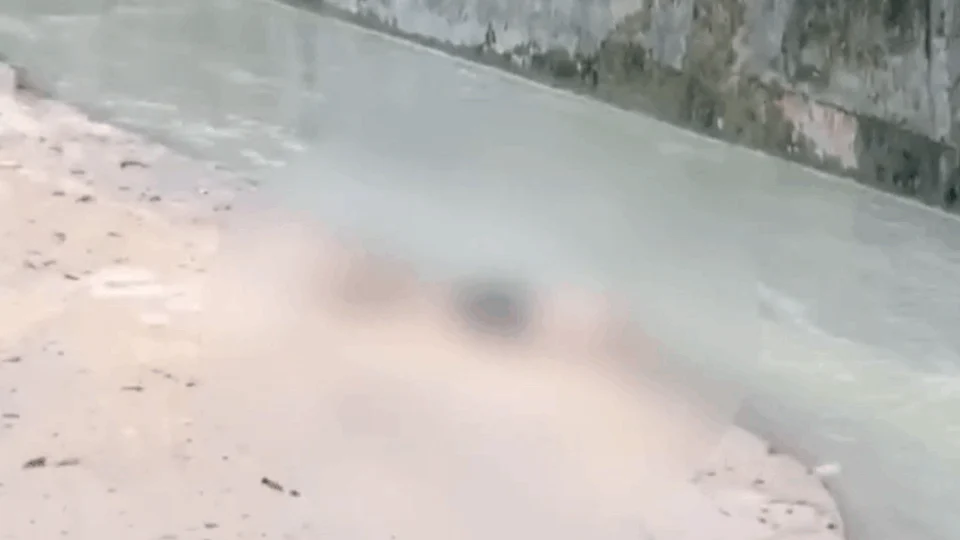 Terror! homem é encontrado decapitado no bairro Cidade de Deus; veja vídeo