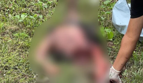 Imagens fortes: homem é atropelado e arrastado na BR-174