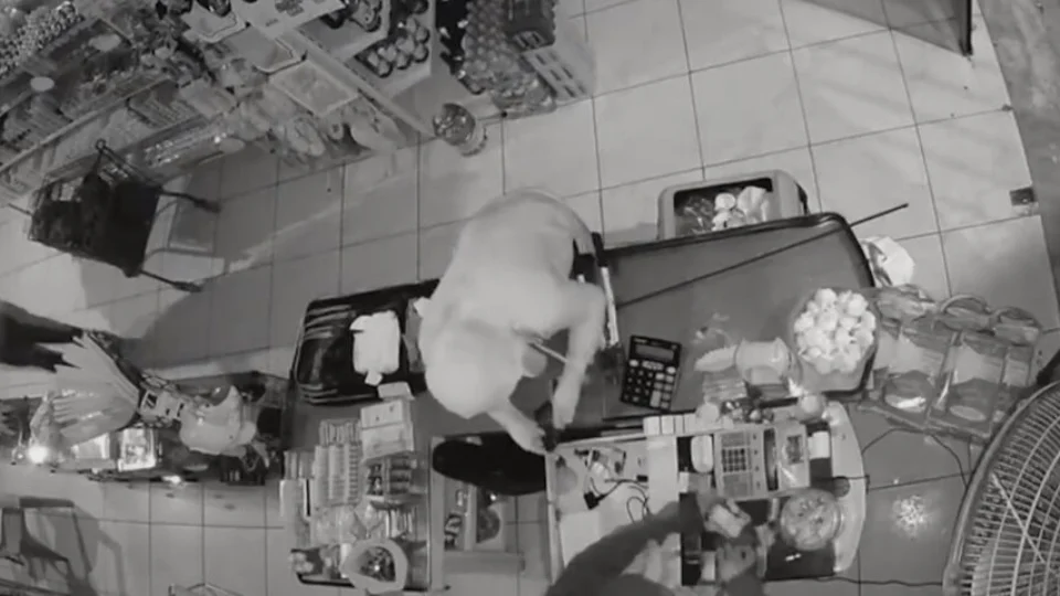 Veja vídeo! trio arromba e furta estabelecimento comercial