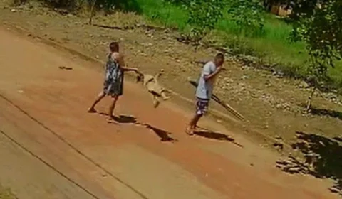 VEJA VÍDEO: Idosa arremessa cachorro no chão após animal fugir de casa