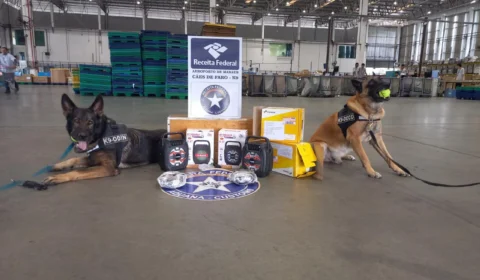 Drogas são encontradas dentro de caixas de som no Correios em Manaus