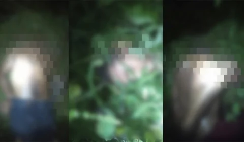 Homens que estavam desaparecidos são encontrados decapitados em área de mata