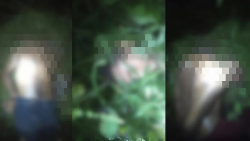 Homens que estavam desaparecidos são encontrados decapitados em área de mata