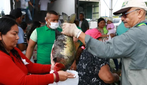 Peixe no Prato: mais de 25 mil tambaquis são entregues na zona Leste de Manaus