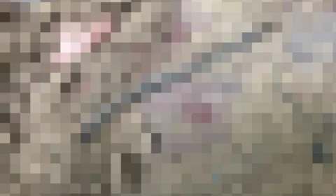 Imagens fortes: partes de corpos decapitados foram encontrados no AM