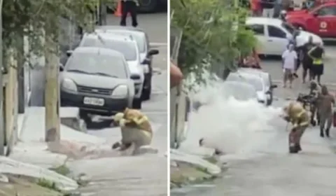 Homem é resgatado ferido com mais de mil ferroadas de abelha; veja vídeo
