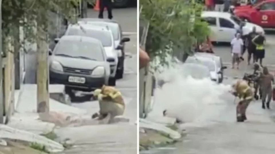 Homem é resgatado ferido com mais de mil ferroadas de abelha; veja vídeo