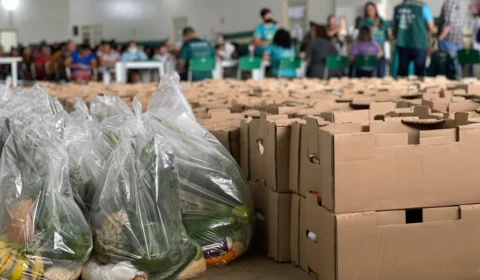 Mais de 500 cestas de alimentos foram entregues a famílias carentes
