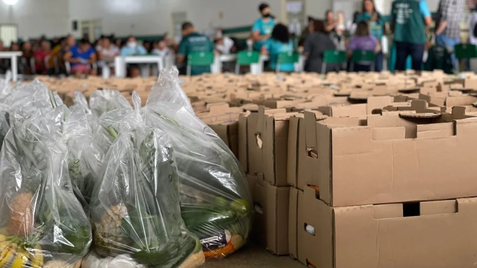 Mais de 500 cestas de alimentos foram entregues a famílias carentes