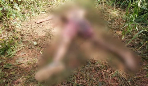 IMAGENS FORTES: Corpo de homem é encontrado na zona Oeste de Manaus