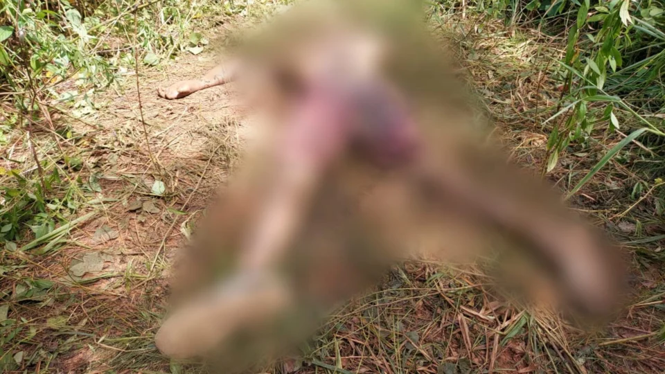 IMAGENS FORTES: Corpo de homem é encontrado na zona Oeste de Manaus