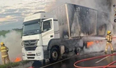 Carreta fica destruída após incêndio e deixa parte de rodovia interditada; veja vídeo