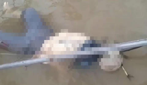 IMAGENS FORTES: corpo é encontrado com parte da cabeça devorada por peixe em rio no AM