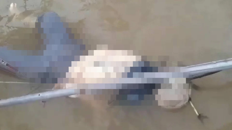 IMAGENS FORTES: corpo é encontrado com parte da cabeça devorada por peixe em rio no AM