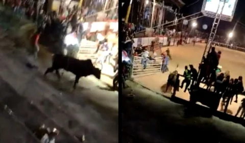 Veja vídeo: touro se solta e avança em público de rodeio