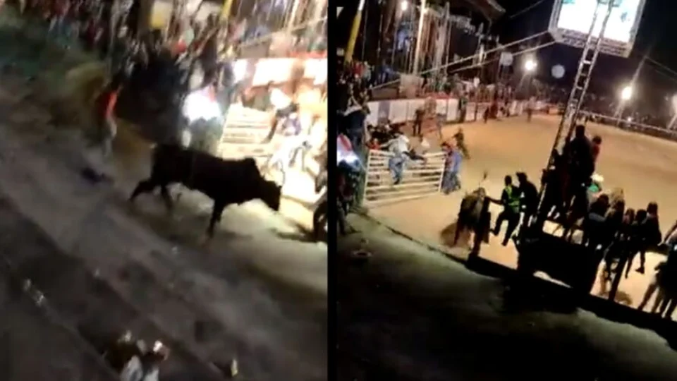 Veja vídeo: touro se solta e avança em público de rodeio