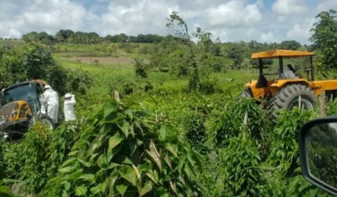 Tragédia: pai atropela e mata bebê de um ano com trator
