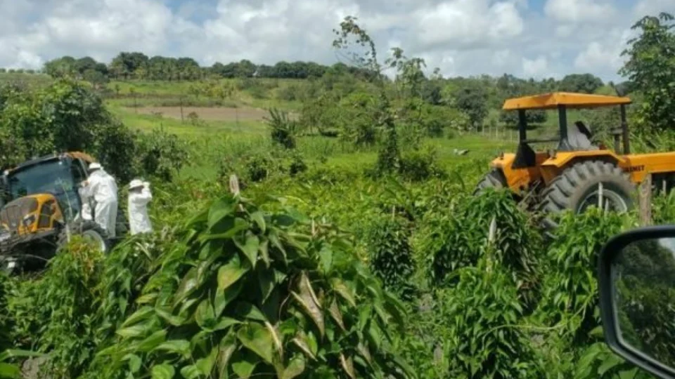 Tragédia: pai atropela e mata bebê de um ano com trator