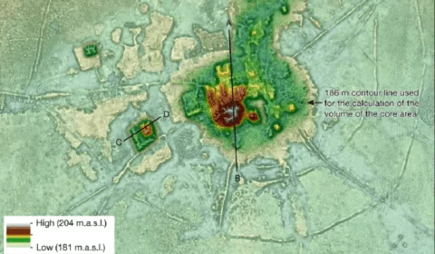 Idoso joga gasolina na ex-companheira  dentro de loja