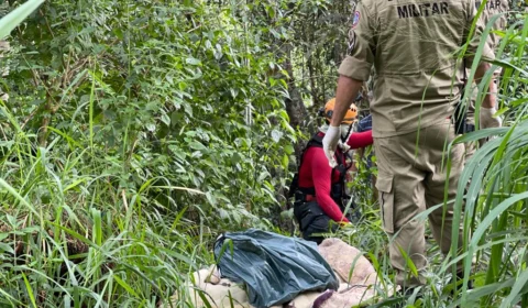 VÍDEO: cadáver é encontrado em área de mata no bairro Nova Cidade