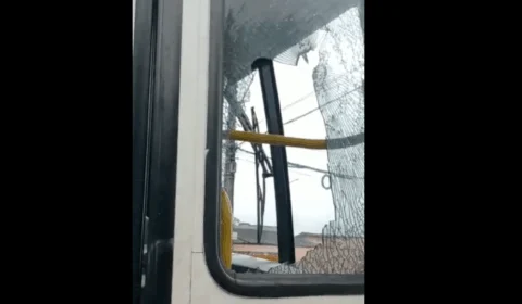Homem quebra vidro de ônibus com golpe de terçado; VEJA VÍDEO
