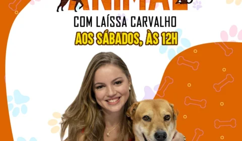 Reestreia do programa Estação Animal!
