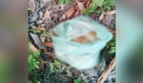 Vísceras encontradas podem ser de garoto que caiu de jet ski