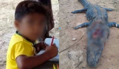 Jacaré que matou criança é abatido pelo pai do menino; IMAGEM