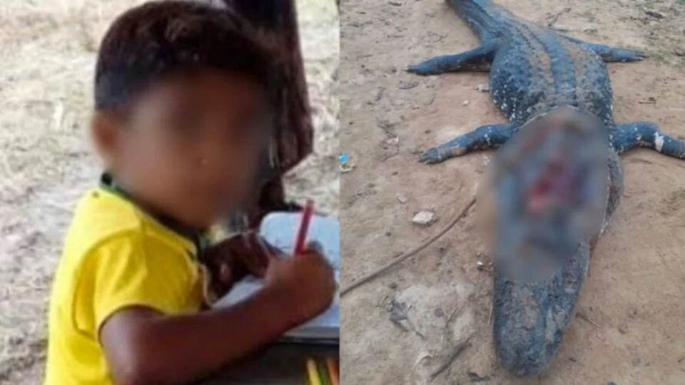 Jacaré que matou criança é abatido pelo pai do menino; IMAGEM