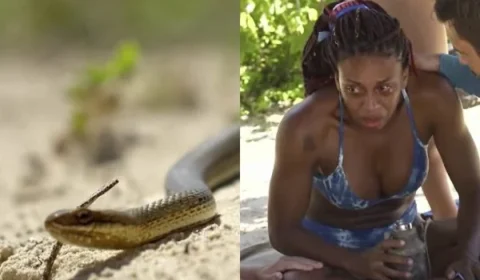 Cobra surge em No Limite e apavora integrante: “Passou na minha bunda”