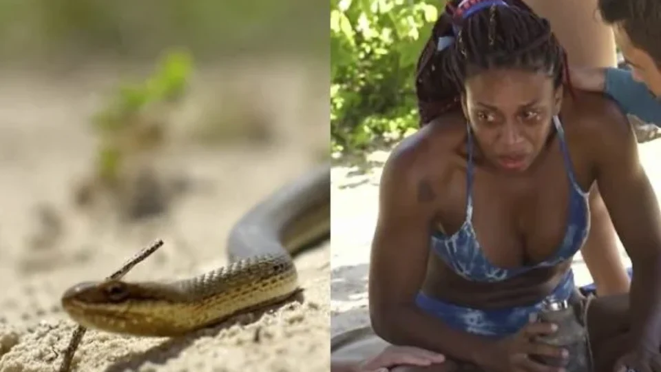 Cobra surge em No Limite e apavora integrante: “Passou na minha bunda”