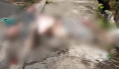 Homem que estava desaparecido é encontrado morto dentro de igarapé