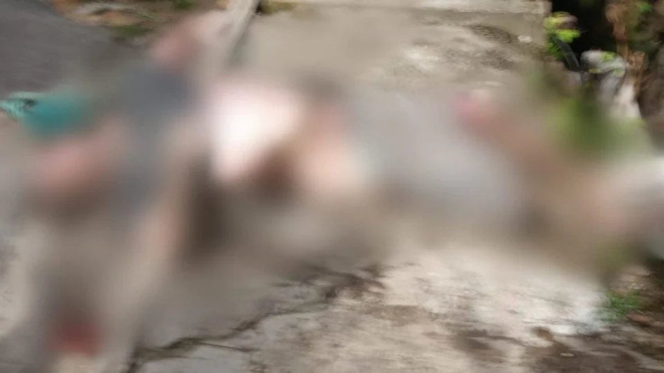 Homem que estava desaparecido é encontrado morto dentro de igarapé